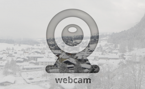 webcam2